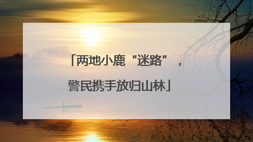 两地小鹿“迷路”，警民携手放归山林