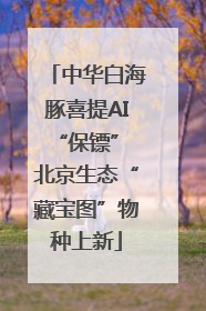 中华白海豚喜提AI“保镖” 北京生态“藏宝图”物种上新