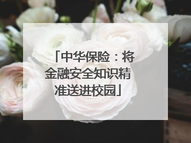 中华保险：将金融安全知识精准送进校园