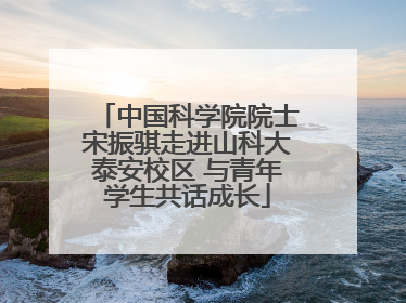 中国科学院院士宋振骐走进山科大泰安校区 与青年学生共话成长