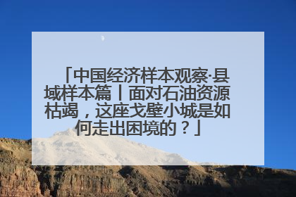 中国经济样本观察·县域样本篇丨面对石油资源枯竭，这座戈壁小城是如何走出困境的？