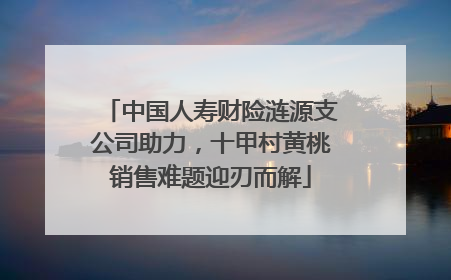 中国人寿财险涟源支公司助力，十甲村黄桃销售难题迎刃而解