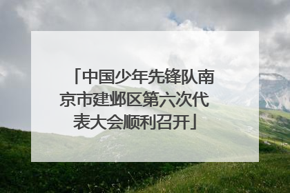 中国少年先锋队南京市建邺区第六次代表大会顺利召开