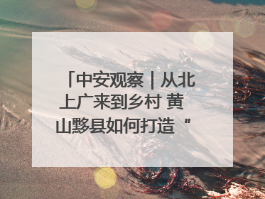 中安观察｜从北上广来到乡村 黄山黟县如何打造“数字游民”的“桃花源”？