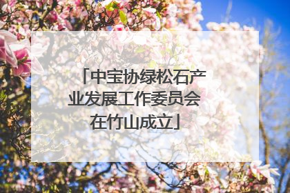 中宝协绿松石产业发展工作委员会在竹山成立