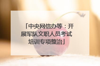中央网信办等：开展军队文职人员考试培训专项整治