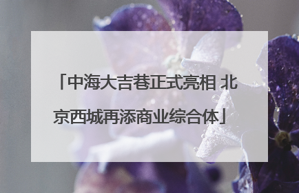 中海大吉巷正式亮相 北京西城再添商业综合体