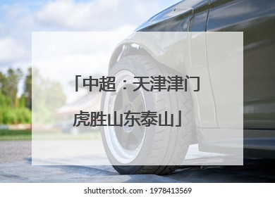 中超：天津津门虎胜山东泰山
