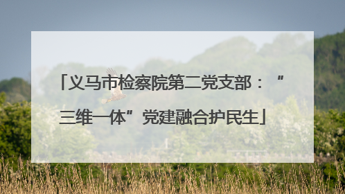 义马市检察院第二党支部：“三维一体”党建融合护民生