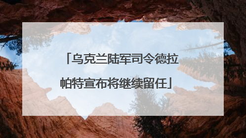 乌克兰陆军司令德拉帕特宣布将继续留任