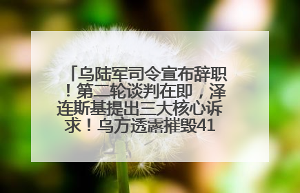 乌陆军司令宣布辞职！第二轮谈判在即，泽连斯基提出三大核心诉求！乌方透露摧毁41架俄战略轰炸机
