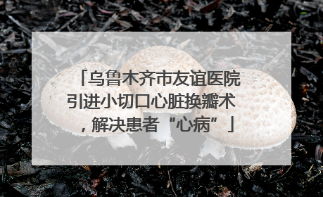 乌鲁木齐市友谊医院引进小切口心脏换瓣术，解决患者“心病”