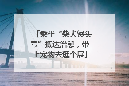 乘坐“柴犬馒头号”抵达治愈，带上宠物去逛个展