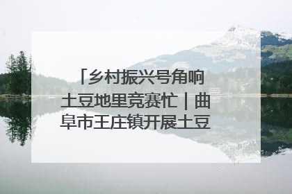 乡村振兴号角响 土豆地里竞赛忙｜曲阜市王庄镇开展土豆收获劳动竞赛