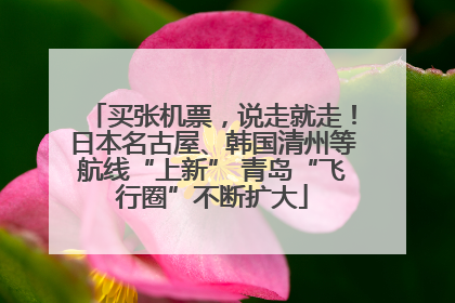 买张机票，说走就走！日本名古屋、韩国清州等航线“上新” 青岛“飞行圈”不断扩大
