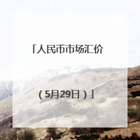 人民币市场汇价（5月29日）