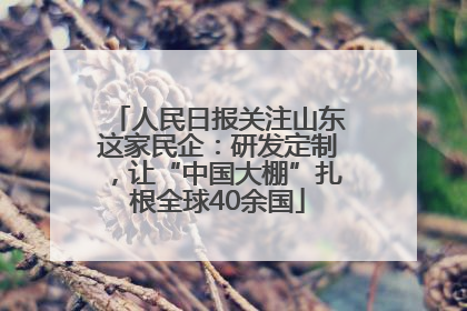 人民日报关注山东这家民企：研发定制，让“中国大棚”扎根全球40余国