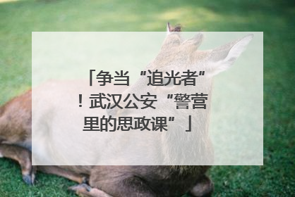 争当“追光者”！武汉公安“警营里的思政课”