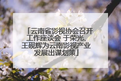 云南省影视协会召开工作座谈会 于荣光、王砚辉为云南影视产业发展出谋划策
