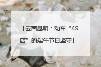 云南昆明：动车“4S店”的端午节日坚守