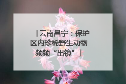 云南昌宁：保护区内珍稀野生动物频频“出镜”