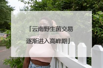 云南野生菌交易逐渐进入高峰期