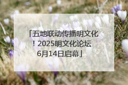五地联动传播明文化！2025明文化论坛6月14日启幕