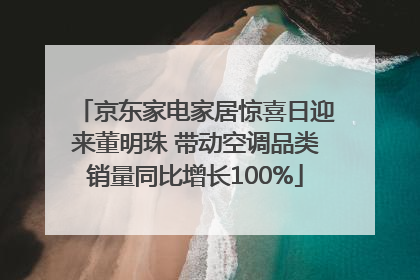 京东家电家居惊喜日迎来董明珠 带动空调品类销量同比增长100%