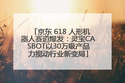京东 618 人形机器人赛道爆发：灵宝CASBOT以30万级产品力搅动行业新变局