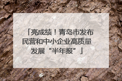 亮成绩！青岛市发布民营和中小企业高质量发展“半年报”