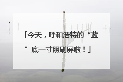 今天，呼和浩特的“蓝”底一寸照刷屏啦！