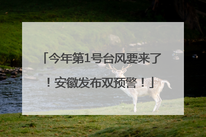 今年第1号台风要来了！安徽发布双预警！