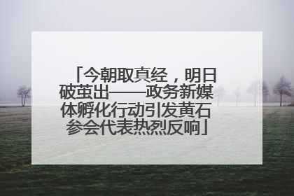 今朝取真经，明日破茧出——政务新媒体孵化行动引发黄石参会代表热烈反响