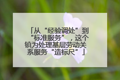 从“经验调处”到“标准服务”，这个镇为处理基层劳动关系服务“造标尺”