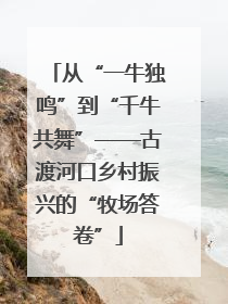 从“一牛独鸣”到“千牛共舞”——古渡河口乡村振兴的“牧场答卷”