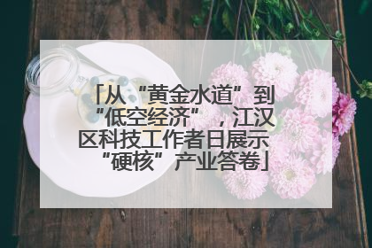 从“黄金水道”到“低空经济”，江汉区科技工作者日展示“硬核”产业答卷
