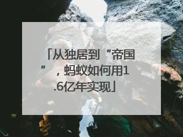 从独居到“帝国”，蚂蚁如何用1.6亿年实现