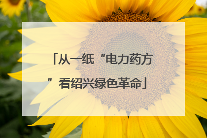 从一纸“电力药方”看绍兴绿色革命