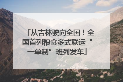 从吉林驶向全国！全国首列粮食多式联运“一单制”班列发车