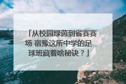 从校园绿茵到省赛赛场 宿豫这所中学的足球班藏着啥秘诀？