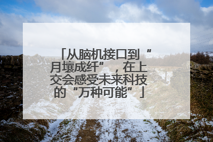 从脑机接口到“月壤成纤”，在上交会感受未来科技的“万种可能”