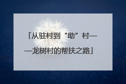 从驻村到“助”村——龙树村的帮扶之路