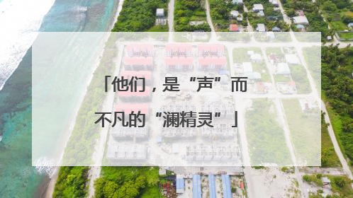 他们，是“声”而不凡的“澜精灵”