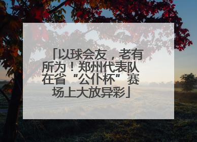 以球会友，老有所为！郑州代表队在省“公仆杯”赛场上大放异彩