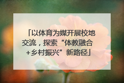 以体育为媒开展校地交流，探索“体教融合+乡村振兴”新路径
