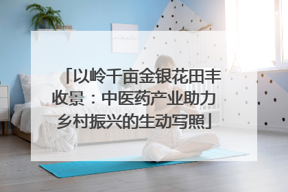 以岭千亩金银花田丰收景：中医药产业助力乡村振兴的生动写照