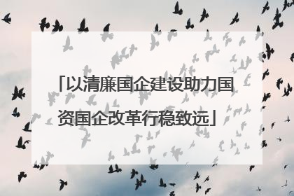 以清廉国企建设助力国资国企改革行稳致远