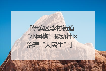 伊滨区李村街道 “小网格”撬动社区治理“大民生”