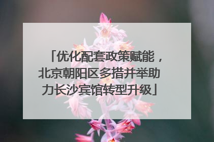 优化配套政策赋能，北京朝阳区多措并举助力长沙宾馆转型升级