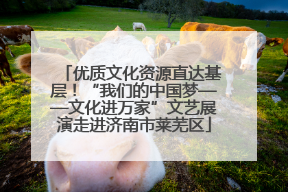 优质文化资源直达基层！“我们的中国梦——文化进万家”文艺展演走进济南市莱芜区